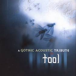 Tool : A Gothic Acoustic: Tribute To Tool